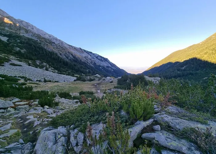 Apartment Royal Towers T&k *